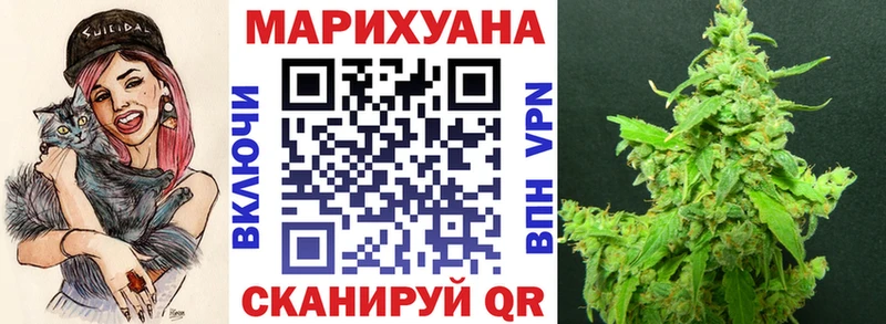 Каннабис сатива  Кузнецк 